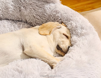 Produits pour animaux de compagnie, lit pour chien, forme de patte de designer, lit long en peluche, chaud, confortable, coussin pour animaux de compagnie, grand lit pour chien