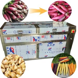 Bangkok 	 Pelador de Cebollas Comercial 	 Máquina para Limpiar Vegetales, Peladora de Jengibre, Taro y Patatas Pequeñas 	 Máquina para Lavar Zanahorias - Product Image 4