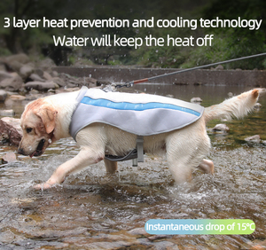 Sweat à capuche pour chien personnalisé avec logo, imprimé de luxe, respirant, durable, vêtements pour animaux de compagnie en gros - Product Image 2