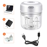 250ML Elektrische Mini Knoflookhakker Roestvrijstalen Voedselverwerker voor Fruit Groenten Vlees Salade Grinder Stamper Snijder