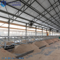 Construction de bâtiments en acier pour l'élevage de volailles, structure anti-corrosion, construction de hangars pour l'élevage de bétail