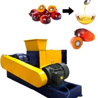 Nieuwe hoog-efficiënte automatische palmvruchtenpersmachine met schroef, energiebesparend, voor de productie van ruwe olie, capaciteit 500 kg/uur voor de molen
