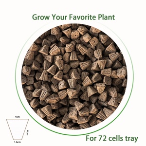 Factory 72 Cell <b>Tray</b> Size Coco Coir Growing Starter Plug Vegetable Plant Soil Clone Cutting <b>Seedling</b> 3024 Pcs/box - Product Image 3