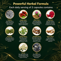 Complément alimentaire immunitaire à base de plantes en capsules Artichaut Betterave Zinc 60 unités Certifié Halal Pureté 99% Adulte OEM ODM Personnalisé