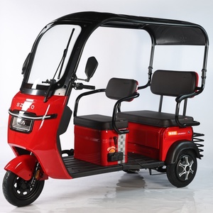 Triciclo Eléctrico de Diseño Nuevo 2024 para Adultos, Carrocería Abierta, Motor sin Escobillas de 48V, 500W-800W, Trimoto de Tres Ruedas, Precio Económico, Venta al Por Mayor - Product Image 2