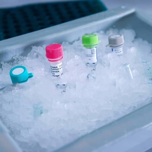 30kg ~ 150kg 대용량 상업용 큐브 제빙기 만들기 기계 블록 얼음 기계 레스토랑 아이스 큐브 기계 - Product Image 3