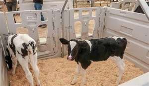 Cages d'abri en plastique pour animaux d'élevage - Product Image 6