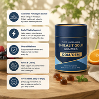 Gummies de Shilajit pour la vitalité quotidienne et le soutien immunitaire des adultes, OEM ODM, emballage personnalisé, marque privée