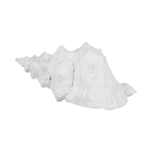 Scultura in resina a forma di conchiglia, decorazione costiera per casa, ufficio, bagno, tavolino da caffè, stile nautico - Product Image 4