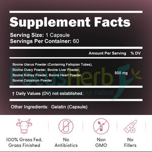 Cápsulas Mixtas de Órganos de Res Alimentada con Pasto 6 en 1 FocusHerb OEM, Aptas para Mujeres - Product Image 3