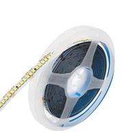 Bande lumineuse LED flexible de haute qualité, haute densité, ECO 10 mm SMD2835 12V 240 leds/m