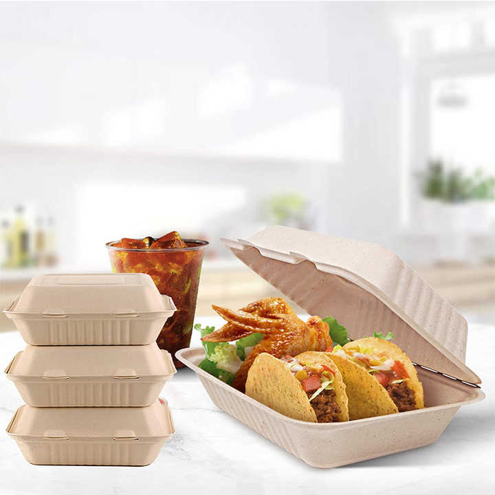 Sugarcane Bagasse 100% Compostable Biodegradable 9x6 Take Out Food ...