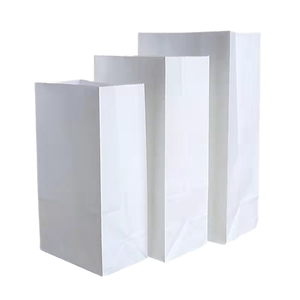 Sac en papier kraft biodégradable de qualité alimentaire blanc personnalisé avec poignée Flexiloop et logo personnalisé - Product Image 1