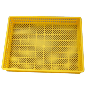 Cestello di Ricambio per Incubatrice Be You, in Plastica PP, Nuovo, per Uso Avicolo - Product Image 5