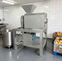 Enkel/Dubbel Kanaals Ananas & Mango Fruit Schil-, Ontpit-, Klopmachine, Pureermachine, Motor, Hoge Productiviteit, 380V