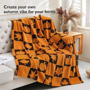 Vente en gros, usine chinoise, couverture <span class=keywords><strong>d</strong></span>'hiver douce et chaude, flanelle, peluche Sherpa, <span class=keywords><strong>King</strong></span> Size, couverture polaire <span class=keywords><strong>d</strong></span>'hiver, caractère en Polyester - Product Image 2