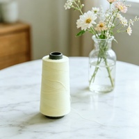 Filament de Para-Aramide 1414 à Haute Ténacité pour Tissu Filtrant Industriel Ignifuge