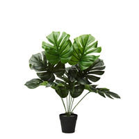 Petit bonsaï artificiel, plante Hypoestes Phyllostachya, herbe à pois rouges, faux Fittonia en pot de 45 cm pour la décoration de table d'hôtel ou de maison