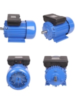 Moteurs à induction monophasés série SUNWEI 2800 tr/min 2-10 CV CA 50/60 Hz Protection IP54 Enroulement 100 % cuivre Cadre 32 mm