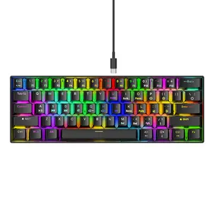 2024 Hot Sale RGB Backlit Mechanical Keyboard Wired Wireless 61 Keys 60 Percent Gaming Keyboard Blue Switch