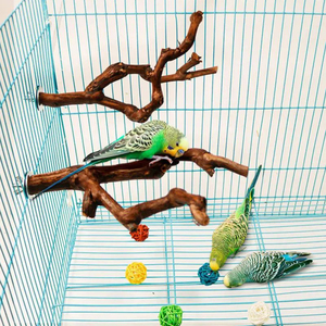 Pet Standing Stick asta di legno di uva selvatica pappagallo Cockatiel pappagallo stazione di bordo morso artiglio macinazione giocattolo gabbia per uccelli accessori - Product Image 1