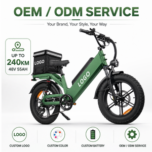 Bicicleta Eléctrica de Carga con Autonomía de 240 KM, Neumáticos Gruesos de 20 Pulgadas, Motor sin Escobillas de 48V 750W, Cuadro de Aluminio, 7 Velocidades, Personalización OEM - Product Image 1