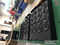 Sistema de Sonido Profesional, Altavoces de Arreglo Lineal, Altavoces de Columna, Equipo de Sonido para Conciertos Medianos