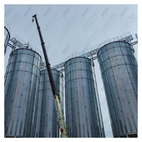 Silo Industrial de Acero para Granos de Café de Gran Capacidad (100-15000 Toneladas), Construcción Galvanizada en Caliente de Doble Capa, Control PLC Centralizado