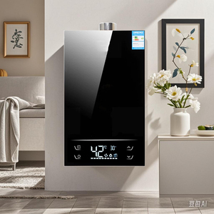 Nhà sản xuất chuyên nghiệp của 12L buộc xả nước nóng khí nóng kiểm soát nhiệt độ kỹ thuật số Đồng tức thời ngoài trời - Product Image 6