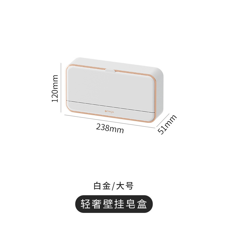 White double-compartment soap dish