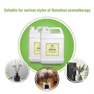 Olio Aromatico <span class=keywords><strong>per</strong></span> Hotel Altamente Concentrato 500ML Olio Essenziale <span class=keywords><strong>per</strong></span> Diffusore di Fragranze Elettrico - Product Image 6