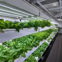 Skyplant Smart Automatic Farm Grow Hydroponique Culture en eau profonde Système agricole vertical 40ft Shipping Container Farm