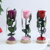 Einzelne Konservierte Rose unter Glaskuppel, Ganze Ewige Blume mit Holzsockel, Romantisches Geschenk für Sie, Valentinstag, Heiratsantrag