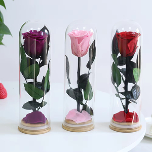Rosa Preservada en Campana de Cristal, Flor Eterna Entera con Base de Madera, Regalo Romántico <span class=keywords><strong>para</strong></span> Ella, Día de San Valentín, Propuesta de Matrimonio - Product Image 1