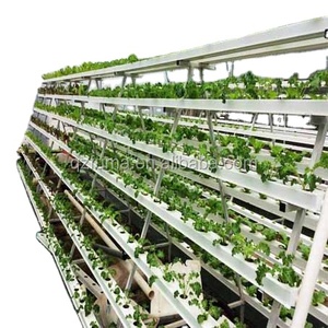 FM 2022 Systèmes de culture en tour aéroponique / hydroponique DIY, pour culture verticale rotative de myrtilles, fraises, fleurs, NFT et ananas - Product Image 4