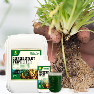 <span class=keywords><strong>Engrais</strong></span> liquide concentré d'algues biologiques, stimulant de croissance racinaire, accélère la force des semis et favorise une croissance uniforme pour les serres - Product Image 2