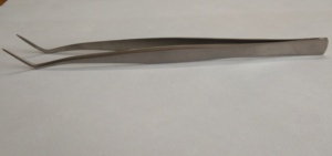 Pince à épiler professionnelle en acier inoxydable Meriam, instrument chirurgical dentaire pour usage clinique et en laboratoire - Product Image 2