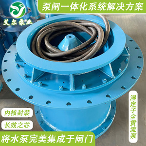 Pompe à flux axial en acier, connexion à bride électrique, basse pression, transport des eaux usées et lutte contre les inondations - Product Image 3