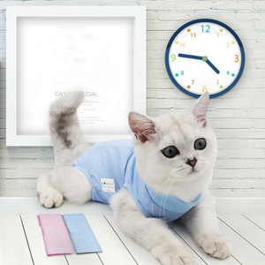 C098 Wholesale Adjustable Female Anti-Licking Breathable Elastic Cotton Cat Weaning Medical Rehabilitation Suit for Hallo - Product Image 3