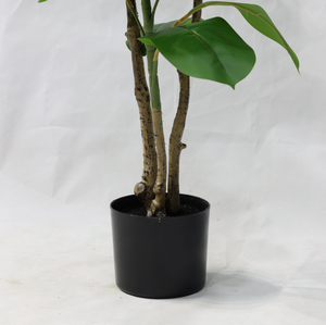 Plante artificielle réaliste en chêne vert d'intérieur, arbre en plastique vert, <span class=keywords><strong>ficus</strong></span> tropical - Product Image 3