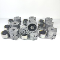 Tendeur de courroie TCD2012 de haute qualité 04513098 pour pièces de moteur diesel 04254262
