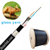 GYFTY63 GYFTY73 GYFTZY63 24hilos 48hilos 72hilos 96hilos Fiber Optical Cable FRP or Glass Yarn Anti-rodent ADSS Cable