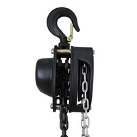 Treuil de levage, grue Vital, poulie de 5 tonnes, 1 tonne, prix Vd, poulie de bloc de chaîne, 3 tonnes, 2 tonnes