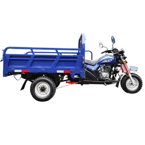 Cost-effective 150cc Motorcycle Tricycle 3 Wheel Cargo for Adult Spring Steel Box Frame Engine Plate Cheap OEM ODM Tricycle