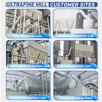 Micro broyeur de poudre HGM avancé pour la production de carbonate de calcium et de kaolin 1000 Mesh 8 TPH