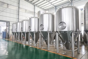 Unitanks Coniques en Acier Inoxydable 200L 500L 1000L 5000L pour Fermentation Artisanale de Bière (FV CCT CKT) – Personnalisables – Ts-100L Cidre - Product Image 4