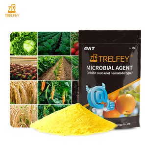 Regolatori di crescita in piante Bacillus Subtilis polvere Megaterium agenti microbici che - Product Image 2