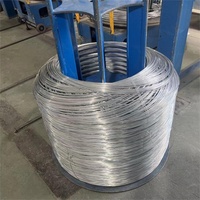 Alambre de Hierro Galvanizado Resistente a la Corrosión para Uso en Construcción y Ataduras