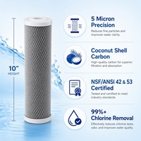 Filtre CTO de taille standard de 10 pouces pour la filtration de l'eau du robinet municipale
