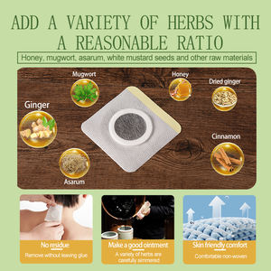 Sanfu Koyo terapi pendetoks Herbal Harga pabrik pereda nyeri penyakit musim dingin dalam perawatan produk Cina - Product Image 2